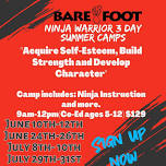 Ninja Warrior 3 Day Camp