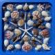 Seashell Resin Workshop: July 18th