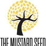 Worship Service — Mustard Seed Church