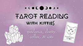 Tarot With Kitties