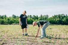 Junior Crop Scout School