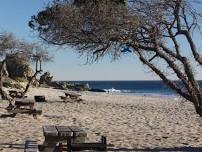 Saturday Beach BBQ at Sycamore Cove 