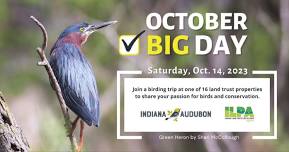 October Big Day Wetland Birding Hike with Cathy Meyer