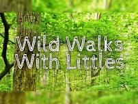 Wild Walks With Littles: 6/7 - Tot Hill Trailhead