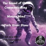 The Sound of Stars Communicating, Dark River Stone and Mosaic Mind at Stout Beard