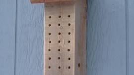 Native (Mason) Bee Box