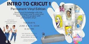 Intro to Cricut 1 - Permanent Vinyl