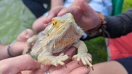 Animal Encounter with Mini Monsters at our Discovery centre