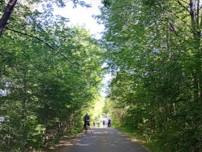 Walk - Leaside Spur Trail (5.5 km)