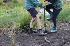 Working Bee to fix ponds and plant native plants