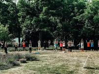 Lavender Field Yoga