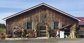 Willow Marsh Farm's First Annual Garlic & Music Festival