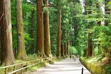 Hiraizumi Full-Day Private Trip with Government-Licensed Guide: Explore the Ancient City's Beauty