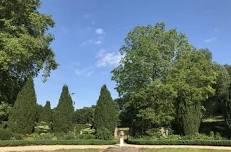 Garden open for the National Garden Scheme