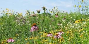 Climate Resilient Gardens