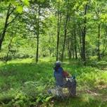 Nature Sitting of Downeast Maine