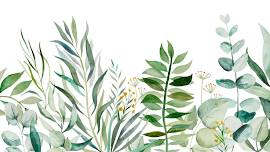 Beginner Botanical Illustration Workshop - Beginner Botanical Illustration