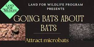 Going Bats about Bats: Create and install a microbat house