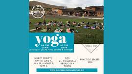 Yoga on the Lawn