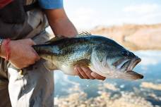 Hooked on Nature: Junior Anglers Adventure