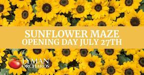 Sunflower Maze Opening Day!