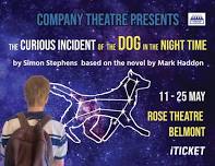 The Curious Incident of the Dog in the Night-Time