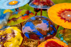 Glass Mushrooms or Flowers Class