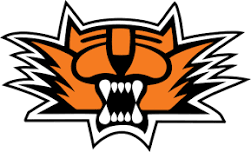 Tiger Basketball Camp - June 10-12, 2024