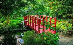 Forest Bathing at the Garden