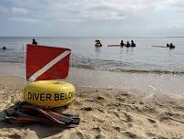 August Dive Against Debris