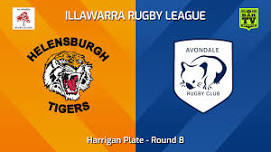 Illawarra Round 8 - Harrigan Plate - Helensburgh Tigers v Avondale Wombats