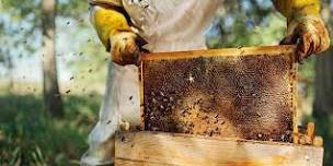 Beekeeping