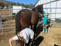 Visit a Horse Ranch