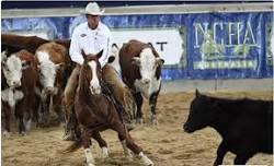 2024 National Cutting Horse Association Futurity