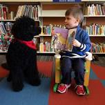 Reading to Dogs