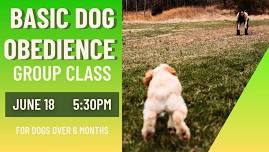 BASIC DOG OBEDIENCE & MANNERS