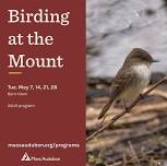 Birding at the Mount