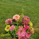 Farm Stand Season Opening