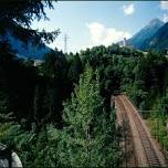 Guided hike on the tracks