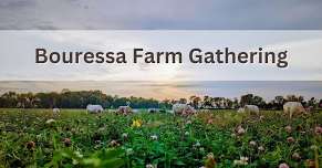 Bouressa Farm Gathering