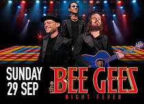 The Bee Gees Night Fever