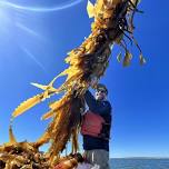 2024 Maine Sea Grant Research Symposium