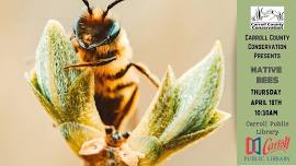 Native Bees with Carroll County Conservation