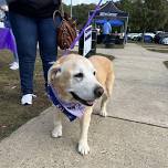 Bark for Life of Northern NJ