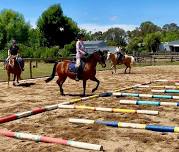 Pole / Gridwork Clinic