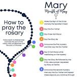 Rosary for Life - Join a devoted group of prayer warriors to end abortion.