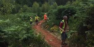 Regular Dean Trail Volunteers Dig (DTV)