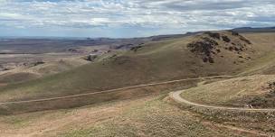 Owyhee 50/50 Night Run