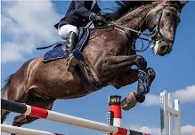 Boise Pony Club Spring Schooling Show