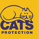 Cat Protection workshop